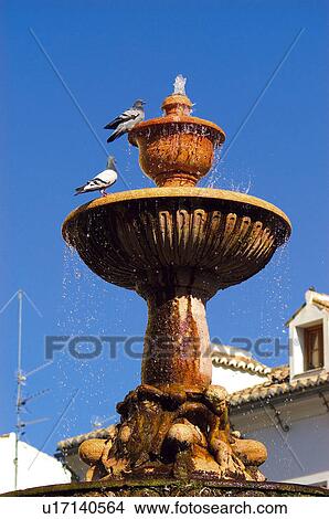 Picture - Spain, Andalusia, Andalucia, Costa del sol, Antequera, Fountain, Pigeon. Fotosearch