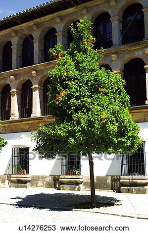 Spain, Andalusia, Andalucia, Costa del sol, Ronda, Architecture, Building View Large Photo Image Stock Image - Spain, Andalusia, Andalucia, Costa del sol, Ronda, Architecture, Building. Fotosearch