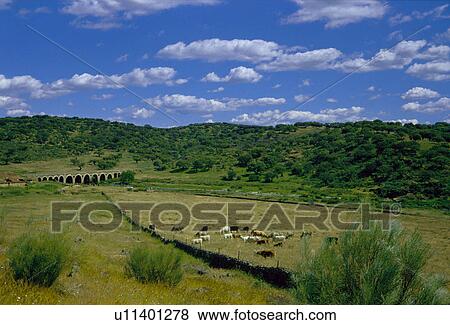 Stock Photo - Spain, Extremadura, Caceres, Trujillo, Nature, Landscape, Bridge. Fotosearch