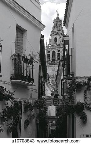 Spain, Andalucia, Andalusia, Cordoba, Street, Building, Buildings View Large Photo Image Stock Image - Spain, Andalucia, Andalusia, Cordoba, Street, Building, Buildings. Fotosearch