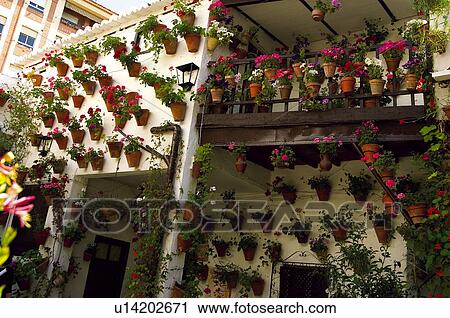Spain, Andalucia, Andalusia, Cordoba, House, Houses, Plant View Large Photo Image Stock Image - Spain, Andalucia, Andalusia, Cordoba, House, Houses, Plant. Fotosearch
