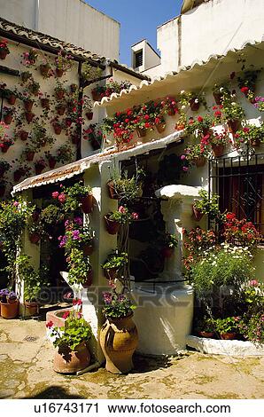 Spain, Andalucia, Andalusia, Cordoba, House, Houses, Plant View Large Photo Image Stock Image - Spain, Andalucia, Andalusia, Cordoba, House, Houses, Plant. Fotosearch