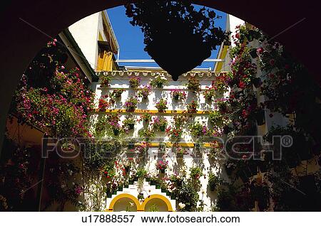 Spain, Andalucia, Andalusia, Cordoba, House, Houses, Plant View Large Photo Image Stock Photo - Spain, Andalucia, Andalusia, Cordoba, House, Houses, Plant. Fotosearch