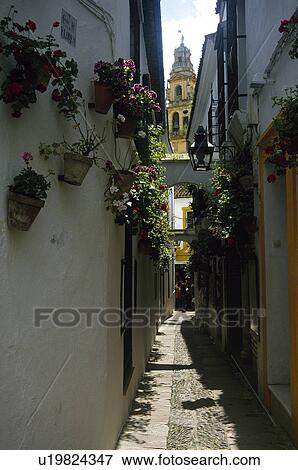 Stock Photo - Spain, Andalucia, Andalusia, Cordoba, Street, Building, Buildings. Fotosearch