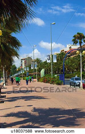 Stock Photo - Spain, Alicante, Town, City, Building, Buildings, Tree. Fotosearch