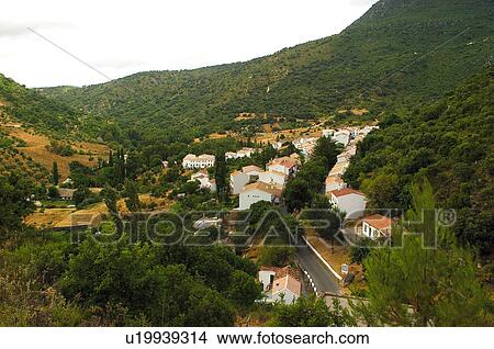 Picture - Spain, Andalucia, Andalusia, Cadiz, Benamahoma, Road, House. Fotosearch