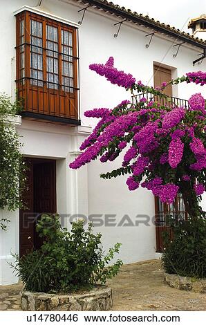 Stock Photograph - Spain, Andalucia, Andalusia, Cadiz, Grazalema, Street, House. Fotosearch