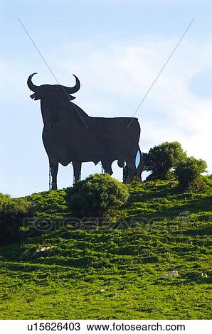 Stock Image - Spain, Andalucia, Andalusia, Cartel, Bull, Typical, Landscape. Fotosearch