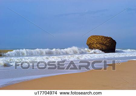Spain, Andalucia, Andalusia, Huelva, Matalascañas, Beach, Torde de la higuera View Large Photo Image Picture - Spain, Andalucia, Andalusia, Huelva, Matalascañas, Beach, Torde de la higuera. Fotosearch