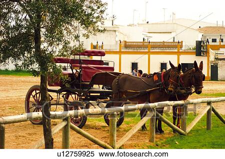 Spain, Andalucia, Andalusia, Huelva, Aldea del rocio, El rocio, Rocio View Large Photo Image Stock Photography - Spain, Andalucia, Andalusia, Huelva, Aldea del rocio, El rocio, Rocio. Fotosearch