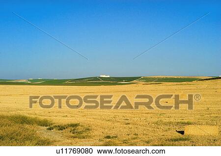 Stock Image - Spain, Andalucia, Andalusia, Nature, Landscape, Agriculture, Country. Fotosearch