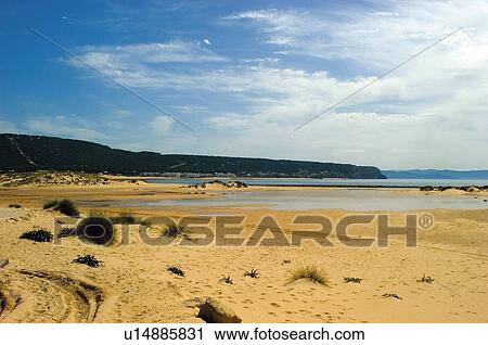 Stock Image - Spain, Andalucia, Andalusia, Nature, Landscape, Beach, No people. Fotosearch