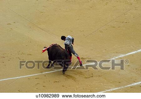 Spain, Andalucia, Andalusia, Bullfighter, Torero, Bull, Bullring View Large Photo Image Stock Photo - Spain, Andalucia, Andalusia, Bullfighter, Torero, Bull, Bullring. Fotosearch