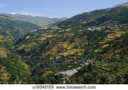 Spain, Andalucia, Andalusia, Granada, Campaneira, Bubion, Pampaneira View Large Photo Image Stock Photo - Spain, Andalucia, Andalusia, Granada, Campaneira, Bubion, Pampaneira. Fotosearch