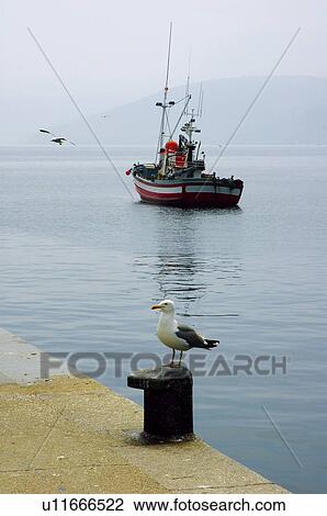Spain, Galicia, Malpica, Harbor, Harbour, Sea, Ship View Large Photo Image Stock Image - Spain, Galicia, Malpica, Harbor, Harbour, Sea, Ship. Fotosearch