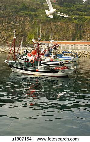 Spain, Galicia, Malpica, Harbor, Harbour, Sea, Ship View Large Photo Image Stock Image - Spain, Galicia, Malpica, Harbor, Harbour, Sea, Ship. Fotosearch