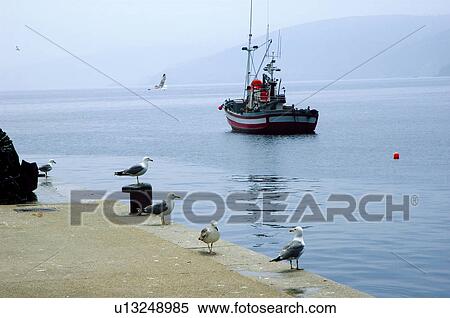 Spain, Galicia, Malpica, Harbor, Harbour, Sea, Ship View Large Photo Image Stock Photography - Spain, Galicia, Malpica, Harbor, Harbour, Sea, Ship. Fotosearch