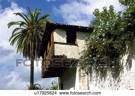 Picture - Spain, Canary islands, Island, Islands, Tenerife, North, North tenerife. Fotosearch