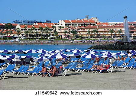 Spain, Canary islands, Island, Islands, Tenerife, South, South tenerife View Large Photo Image Stock Image - Spain, Canary islands, Island, Islands, Tenerife, South, South tenerife. Fotosearch