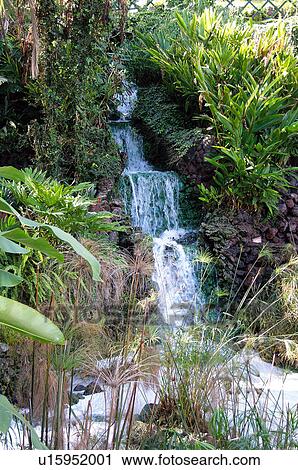 Stock Image - Spain, Canary islands, Island, Islands, Tenerife, North, North tenerife. Fotosearch