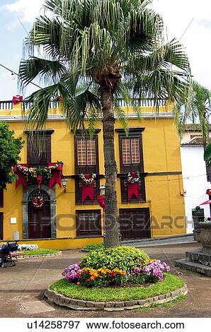 Spain, Canary islands, Island, Islands, Tenerife, North, North tenerife View Large Photo Image Stock Photo - Spain, Canary islands, Island, Islands, Tenerife, North, North tenerife. Fotosearch
