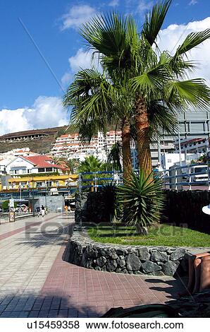 Stock Photo - Spain, Canary islands, Island, Islands, Tenerife, South, South tenerife. Fotosearch