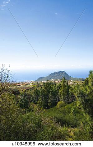 Spain, Canary islands, Island, Islands, Tenerife, Landscape, Nature View Large Photo Image Stock Photograph - Spain, Canary islands, Island, Islands, Tenerife, Landscape, Nature. Fotosearch