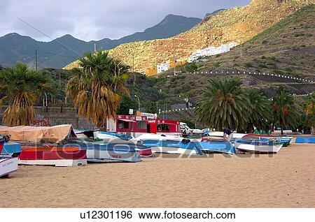 Spain, Canary islands, Island, Islands, Tenerife, North, North tenerife View Large Photo Image Stock Photograph - Spain, Canary islands, Island, Islands, Tenerife, North, North tenerife. Fotosearch