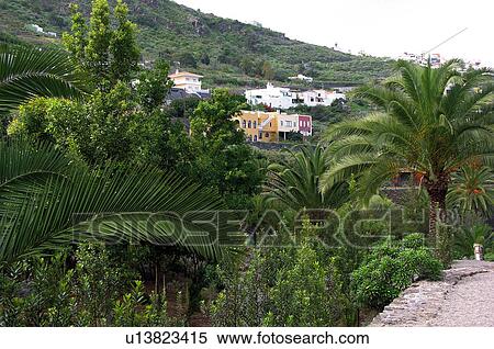 Spain, Canary islands, Island, Islands, Tenerife, North, North tenerife View Large Photo Image Stock Photography - Spain, Canary islands, Island, Islands, Tenerife, North, North tenerife. Fotosearch