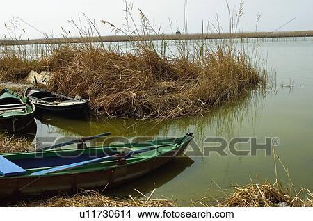 Picture - Spain, Comunidad valenciana, Valencia, Nature, Landscape, Water, National park. Fotosearch
