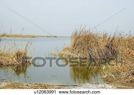 Spain, Comunidad valenciana, Valencia, Nature, Landscape, Water, National park View Large Photo Image Stock Image - Spain, Comunidad valenciana, Valencia, Nature, Landscape, Water, National park. Fotosearch