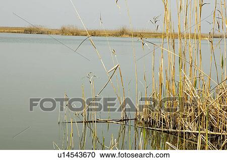 Spain, Comunidad valenciana, Valencia, Nature, Landscape, Water, National park View Large Photo Image Stock Image - Spain, Comunidad valenciana, Valencia, Nature, Landscape, Water, National park. Fotosearch