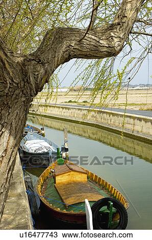 Stock Image - Spain, Comunidad valenciana, Valencia, Nature, Landscape, Water, National park. Fotosearch