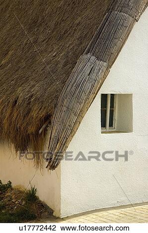 Stock Image - Spain, Comunidad valenciana, Valencia, Nature, National park, Albufera, Albufera national park. Fotosearch
