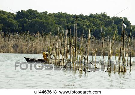Stock Photo - Spain, Comunidad valenciana, Valencia, Nature, Landscape, Water, National park. Fotosearch