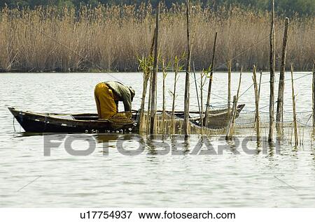 Spain, Comunidad valenciana, Valencia, Nature, Landscape, Water, National park View Large Photo Image Stock Photo - Spain, Comunidad valenciana, Valencia, Nature, Landscape, Water, National park. Fotosearch