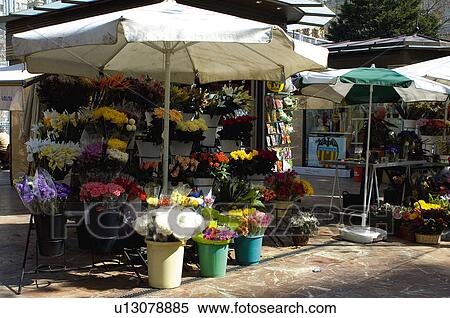 Stock Photography - Spain, Comunidad valenciana, Valencia, City, Town, Flower, Flowers. Fotosearch