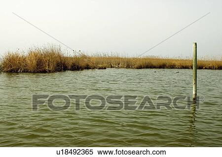 Spain, Comunidad valenciana, Valencia, Nature, Landscape, Water, National park View Large Photo Image Stock Photography - Spain, Comunidad valenciana, Valencia, Nature, Landscape, Water, National park. Fotosearch