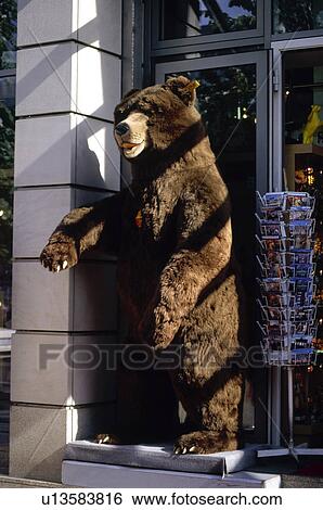 Stock Photograph - Europe, Germany, European city, City, Town, Berlin, Animal. Fotosearch