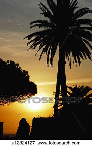 Europe, European city, Portugal, Lisboa, Nature, Sunset, Sun View Large Photo Image Stock Photo - Europe, European city, Portugal, Lisboa, Nature, Sunset, Sun. Fotosearch