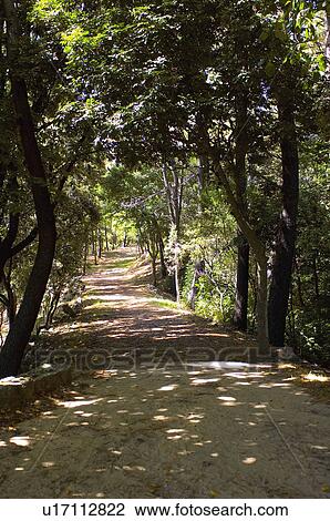 Spain, Cantabria, Santander, City, Town, Park, Shadow View Large Photo Image Stock Image - Spain, Cantabria, Santander, City, Town, Park, Shadow. Fotosearch