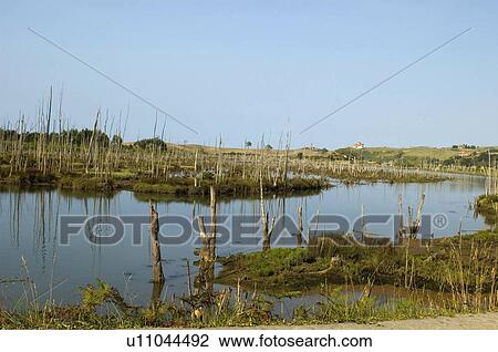 Spain, Cantabria, Santander, San vicente barquera, Nature, Landscape, Water View Large Photo Image Stock Image - Spain, Cantabria, Santander, San vicente barquera, Nature, Landscape, Water. Fotosearch