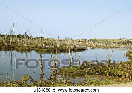 Spain, Cantabria, Santander, San vicente barquera, Landscape, Nature, Water View Large Photo Image Stock Photography - Spain, Cantabria, Santander, San vicente barquera, Landscape, Nature, Water. Fotosearch