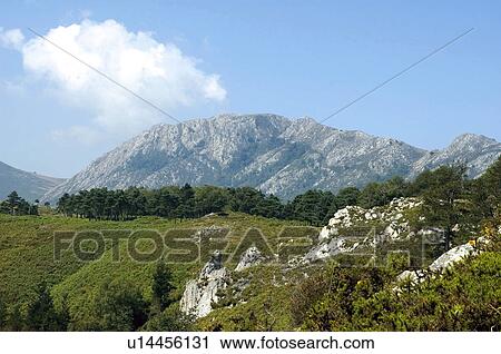 Spain, Asturias, Nature, Landscape, Mountain, Mountains, Picos europa View Large Photo Image Stock Image - Spain, Asturias, Nature, Landscape, Mountain, Mountains, Picos europa. Fotosearch