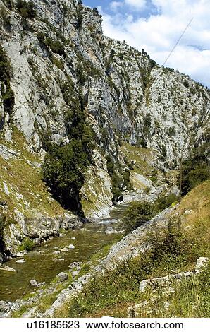 Stock Image - Spain, Asturias, Nature, Landscape, Mountain, Tree, Trees. Fotosearch
