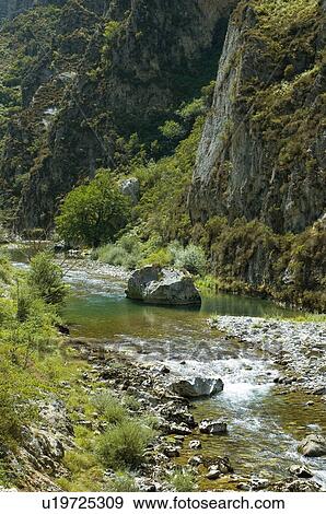 Spain, Asturias, Nature, Landscape, Mountain, Tree, Trees View Large Photo Image Stock Photo - Spain, Asturias, Nature, Landscape, Mountain, Tree, Trees. Fotosearch