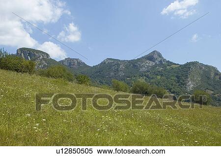Spain, Asturias, Nature, Landscape, Mountain, Mountains, Mountain range View Large Photo Image Stock Photography - Spain, Asturias, Nature, Landscape, Mountain, Mountains, Mountain range. Fotosearch