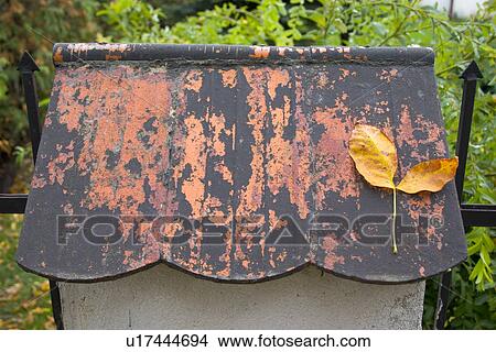 Picture - Gold leaf resting on rustic bird house roof. Fotosearch