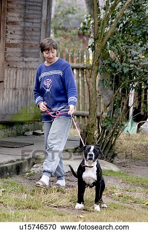 Polish farm woman holding back dog on leash View Large Photo Image Stock Image - Polish farm woman holding back dog on leash. Fotosearch