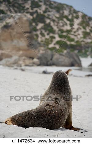 Picture - travel, australia, outback. Fotosearch